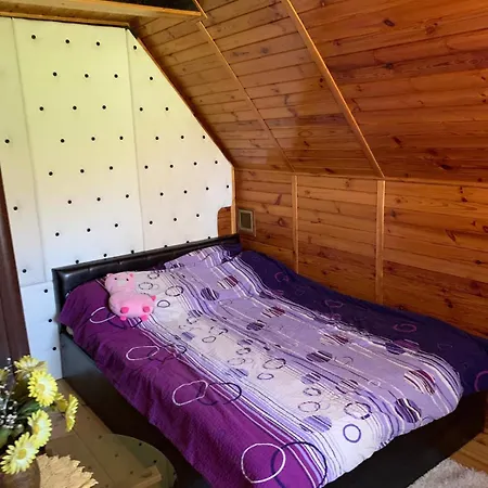 Holiday home Dom Caloroczny 21 Swobodna